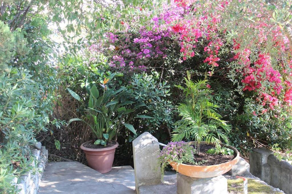 Casa Letizia Lägenhet Taormina Exteriör bild